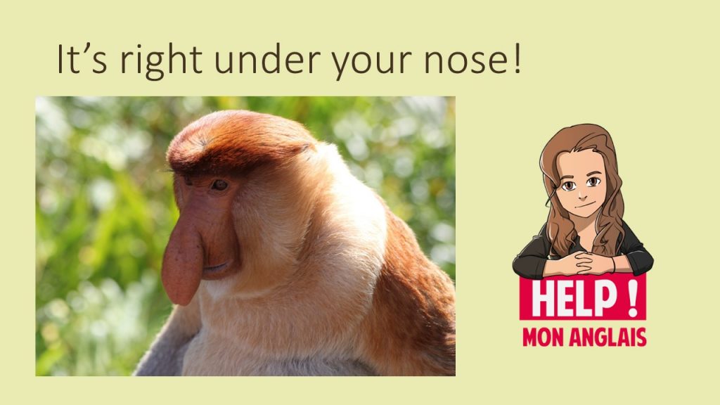 Une expression en anglais avec la partie du corps nose
right under your nose